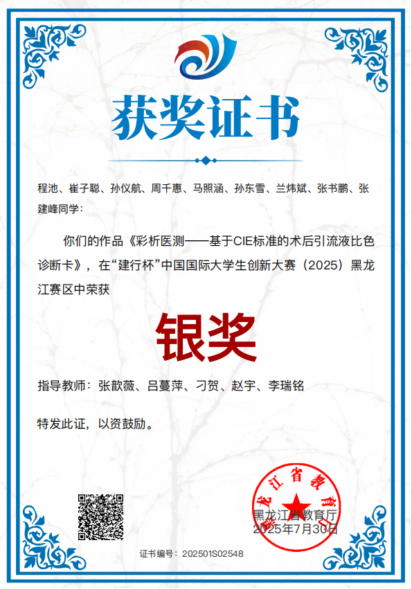 银奖.png 银奖.png
